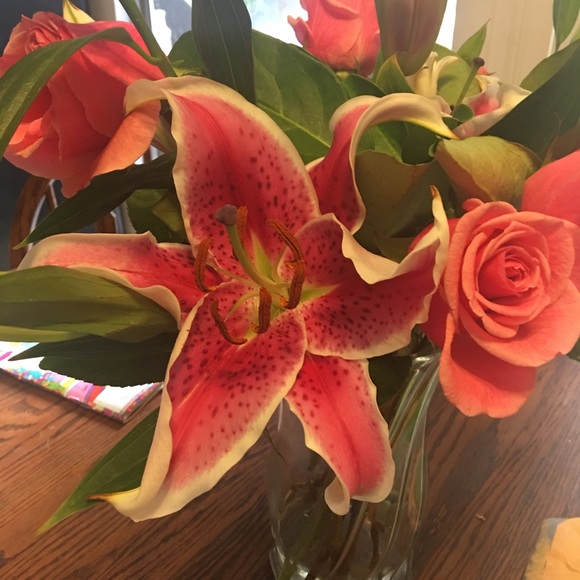 Meet your Posher, Chelsey - Picture 1 of 1